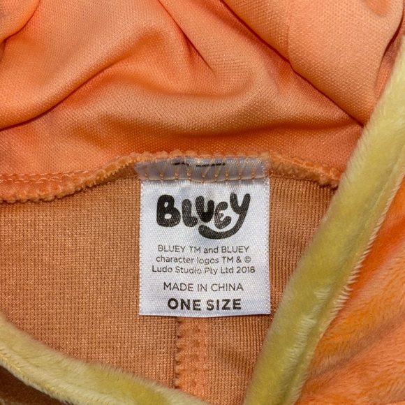 Bluey “Chili” Adult Woman Poncho costume - Picture 2 of 12